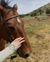 limonnnie Altpins Profile Picture