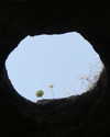 limonnnie Altpins Profile Picture