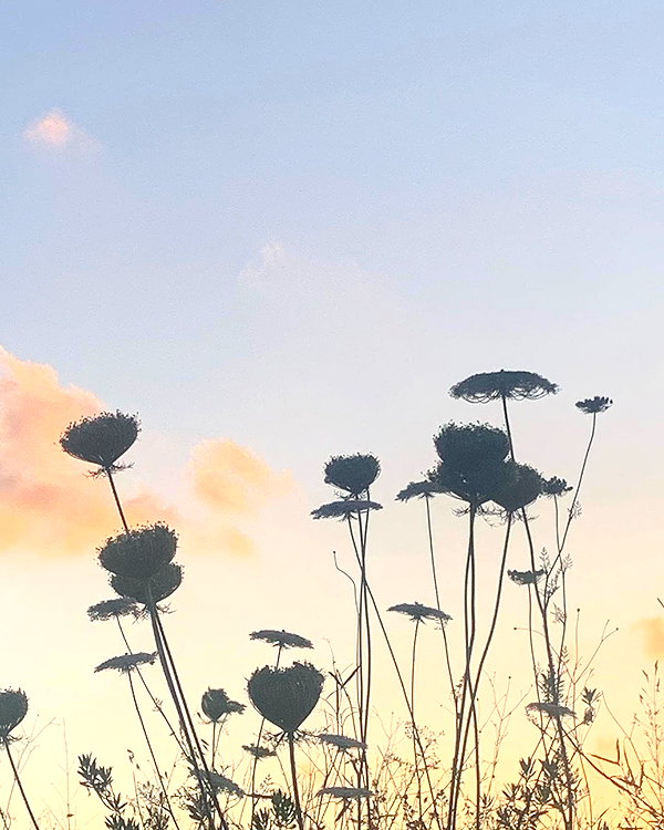 limonnnie instagram image archive image