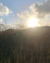 limonnnie Altpins Profile Picture