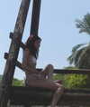 limonnnie Altpins Profile Picture