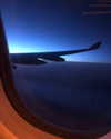 lin__099 Altpins Profile Picture