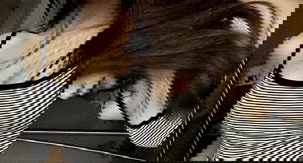 linnnh__h linnnh__h archive image