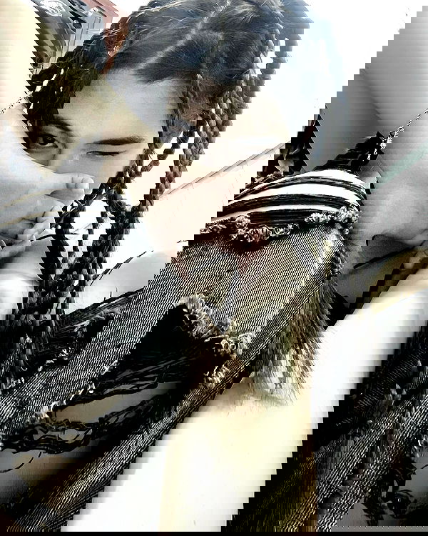 linnnh__h linnnh__h archive image