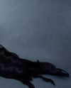 linraimoch Altpins Profile Picture