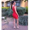 lir.noam Altpins Profile Picture
