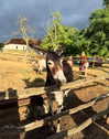 lir.noam Altpins Profile Picture