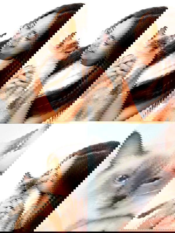 lissi77 lissi77 archive image