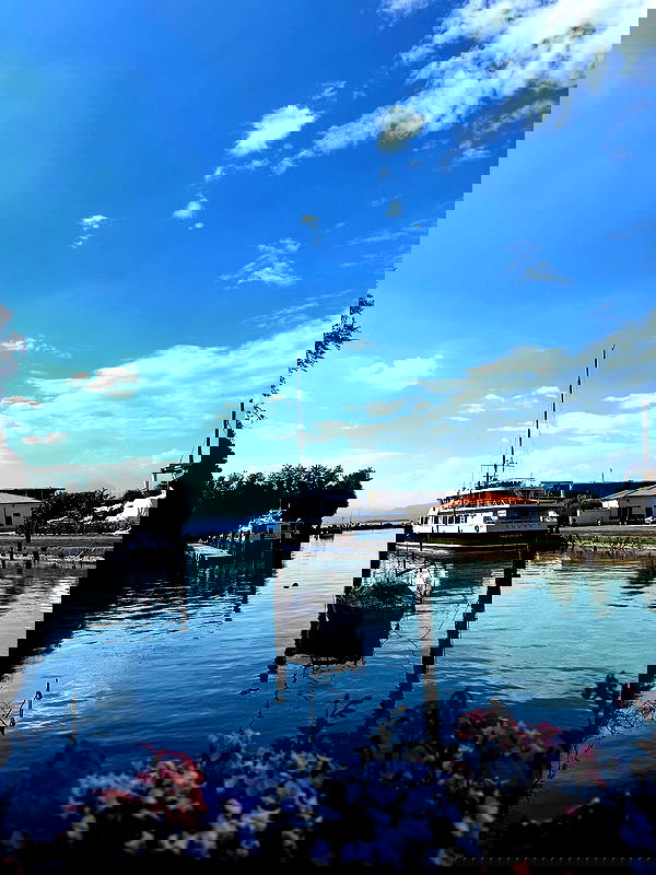 lissi77 lissi77 archive image