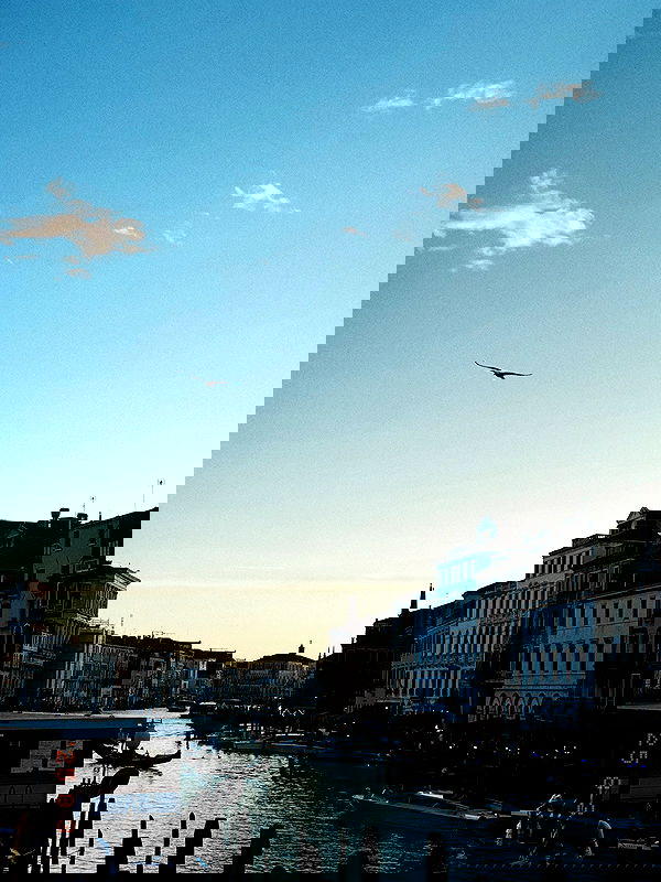 lissi77 lissi77 archive image