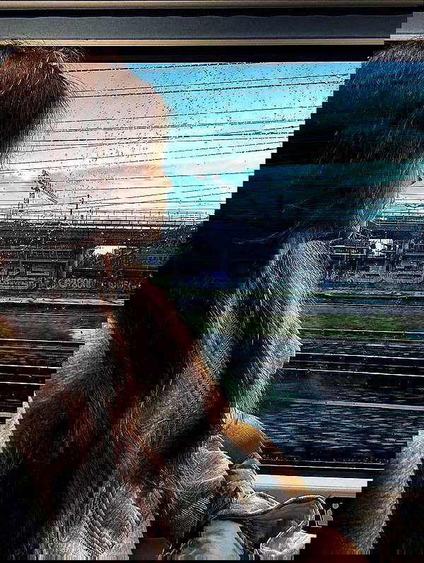 lissi77 lissi77 archive image