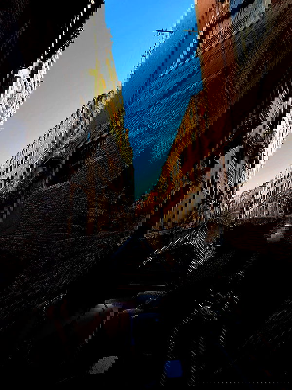 lissi77 lissi77 archive image