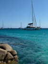 lital.oss Altpins Profile Picture