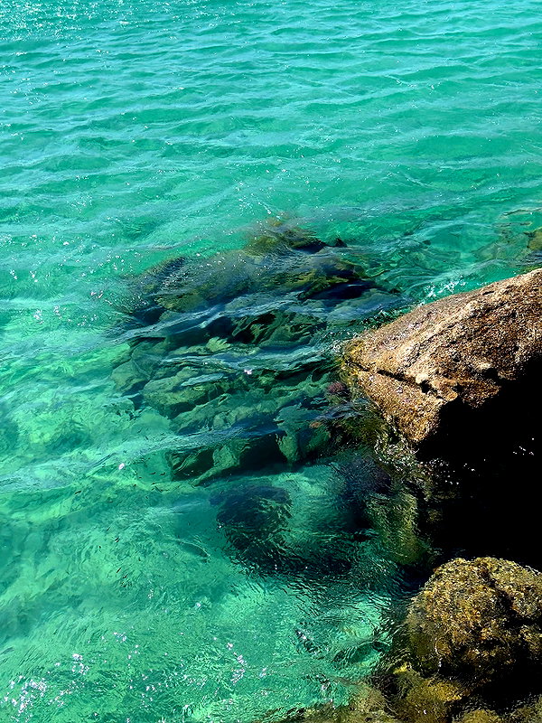 lital.oss instagram image archive image