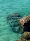 lital.oss Altpins Profile Picture