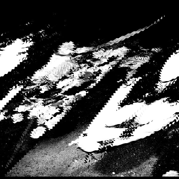 little.warren_ little.warren_ archive image