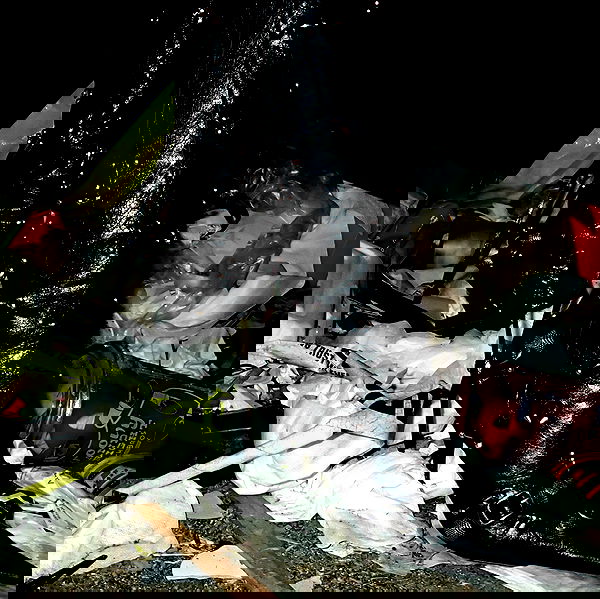 little.warren_ little.warren_ archive image