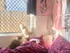 littlechurchdoll Altpins Profile Picture