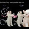 livindeadyaz Altpins Profile Picture