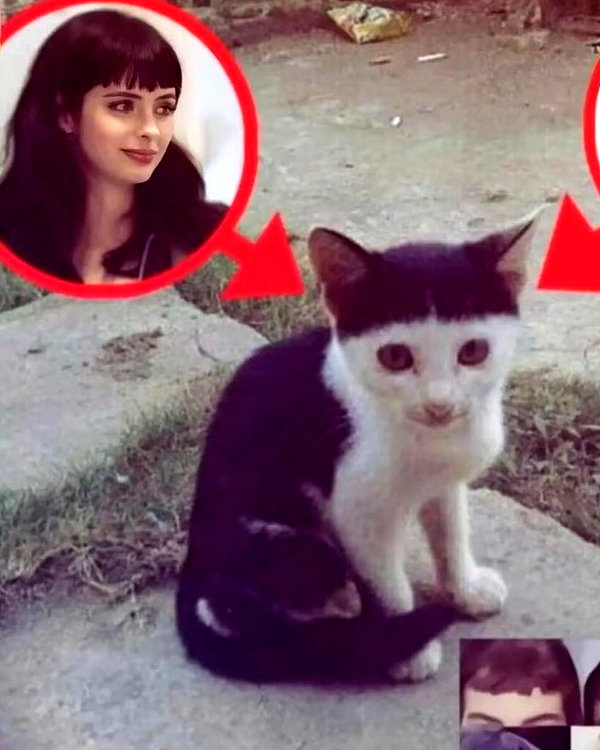 livindeadyaz instagram image archive image