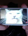 livindeadyaz Altpins Profile Picture