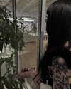 livindeadyaz Altpins Profile Picture