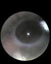ll3nh3ntai Altpins Profile Picture
