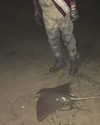 ll3nh3ntai Altpins Profile Picture