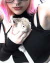 ll3nh3ntai Altpins Profile Picture