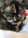ll3nh3ntai Altpins Profile Picture