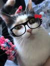 ll3nh3ntai Altpins Profile Picture