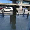 ll3nh3ntai Altpins Profile Picture