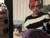 ll3nh3ntai Altpins Profile Picture