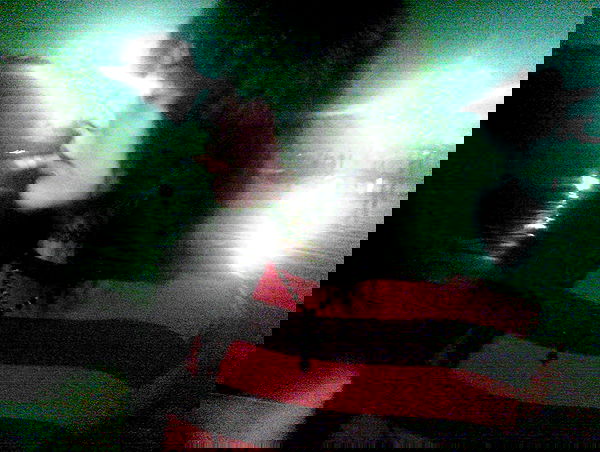 llilbby llilbby archive image