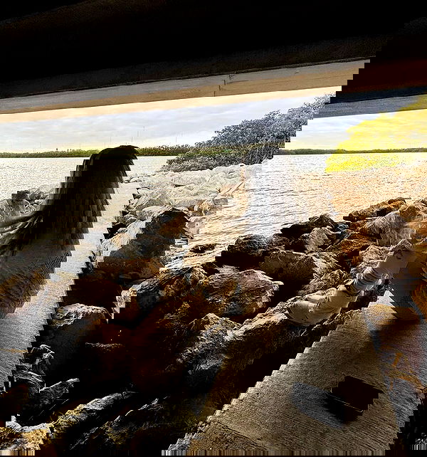 llilbby llilbby archive image