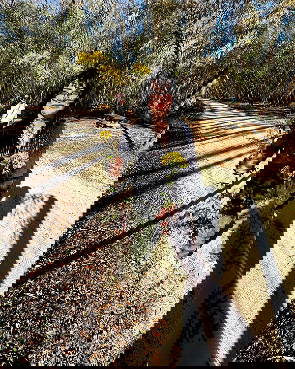 llilbby llilbby archive image