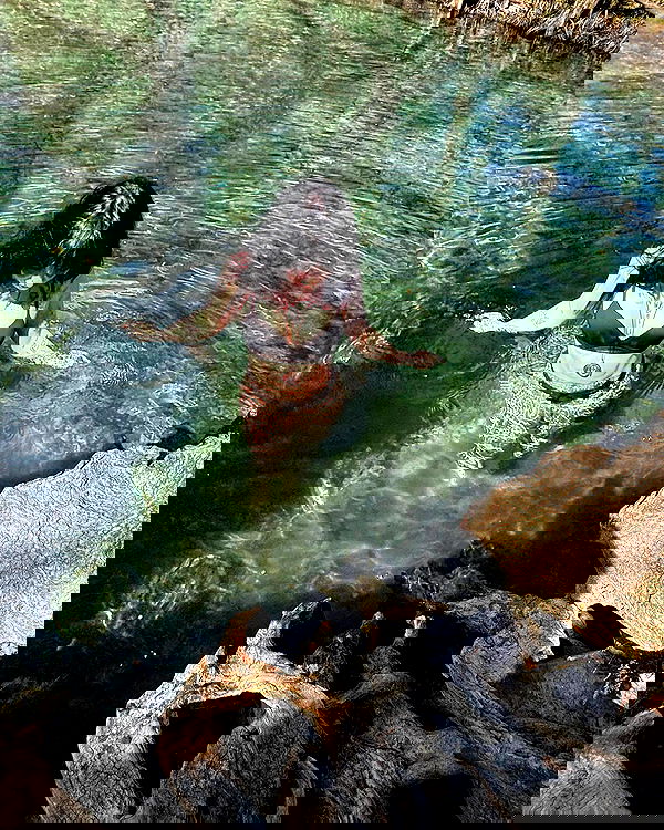 llilbby llilbby archive image