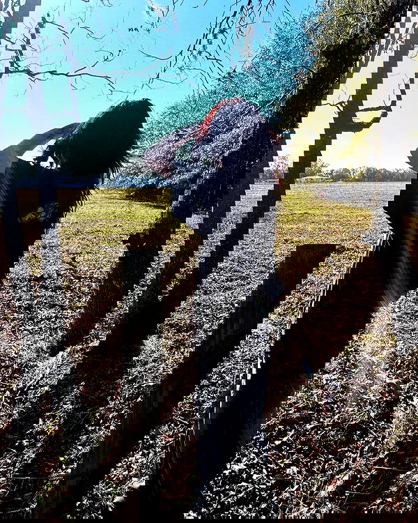 llilbby llilbby archive image