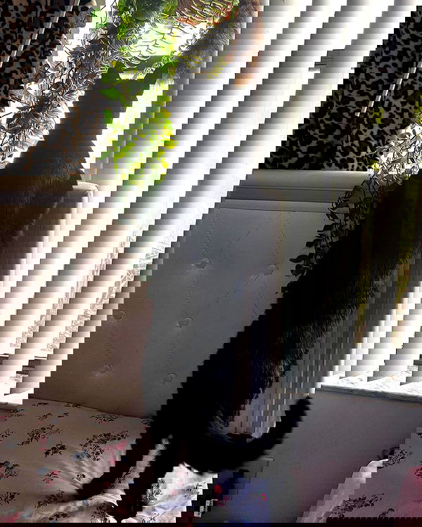 llilbby llilbby archive image