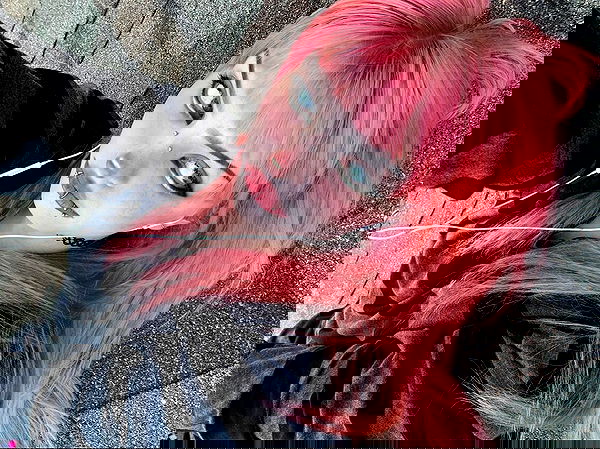 llilbby llilbby archive image