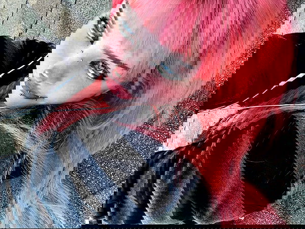 llilbby llilbby archive image