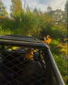 lllaurahawkins Altpins Profile Picture