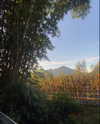 lllaurahawkins Altpins Profile Picture
