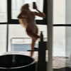 lllizaaa.8 Altpins Profile Picture