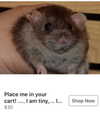 lola.luvgood Altpins Profile Picture