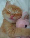 lola.luvgood Altpins Profile Picture