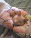 lola.luvgood Altpins Profile Picture