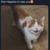lola.luvgood Altpins Profile Picture