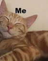 lola.luvgood Altpins Profile Picture