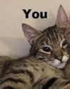 lola.luvgood Altpins Profile Picture
